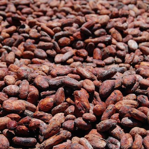 Nardo e cacao