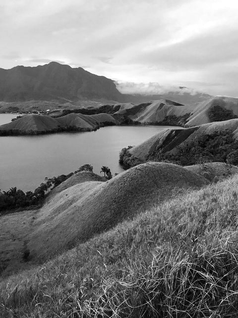 Papua oud